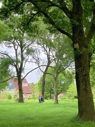 WhatsApp Image 2024-05-22 at 20.01.36 (2).jpg